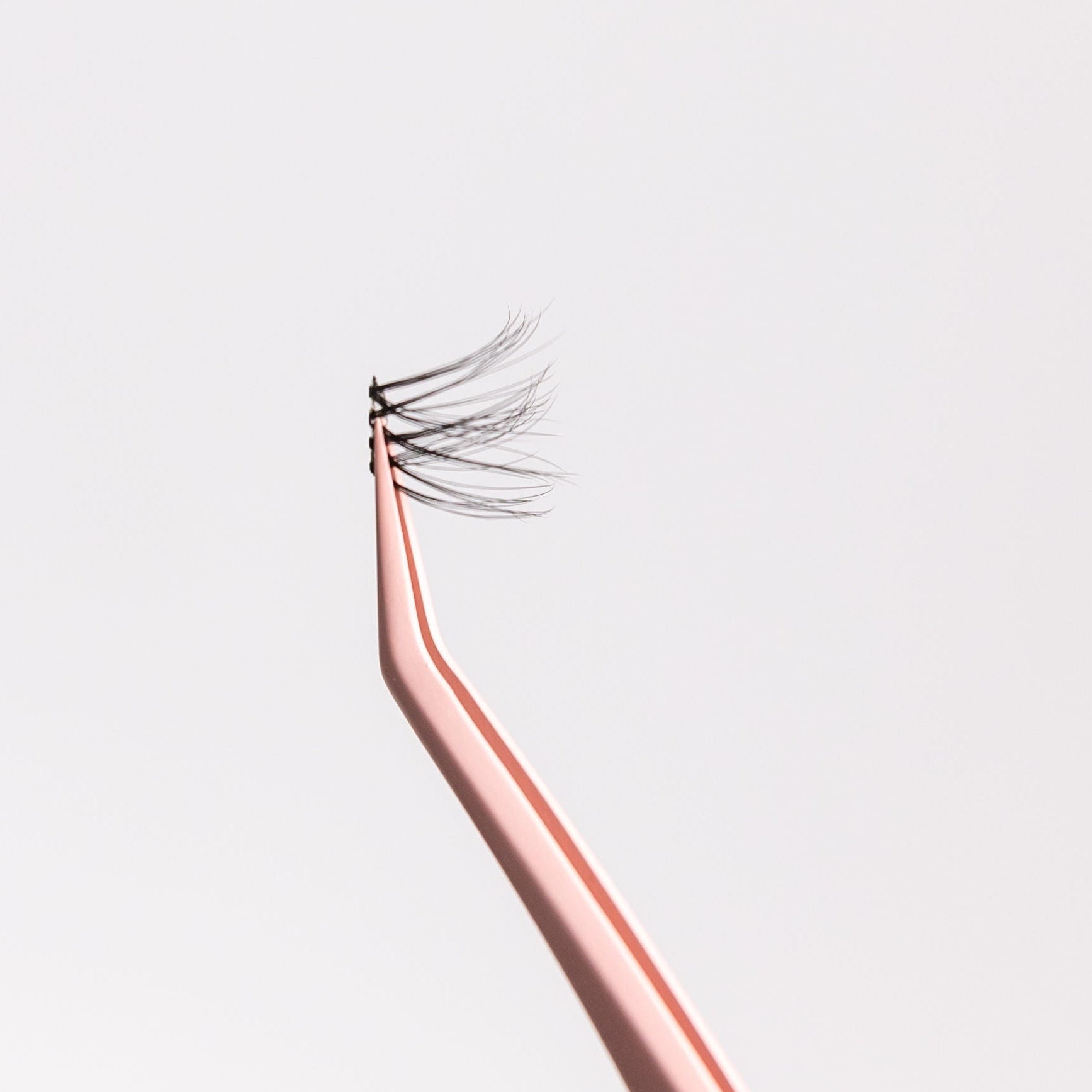 Natural Lash Fusion Set - Travel Kit