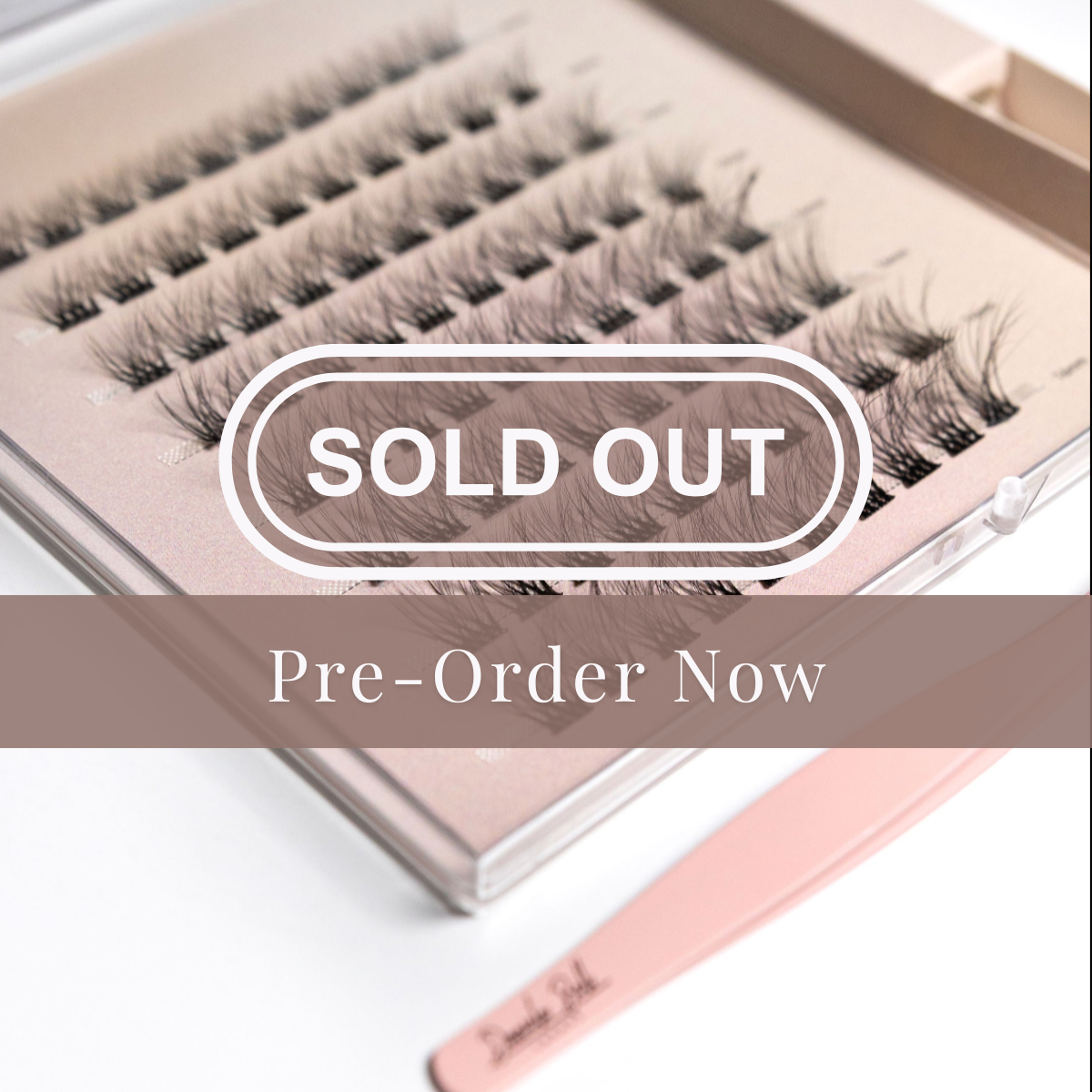 Eyelash packaging with 'SOLD OUT' and 'Pre-Order Now' text on a white background