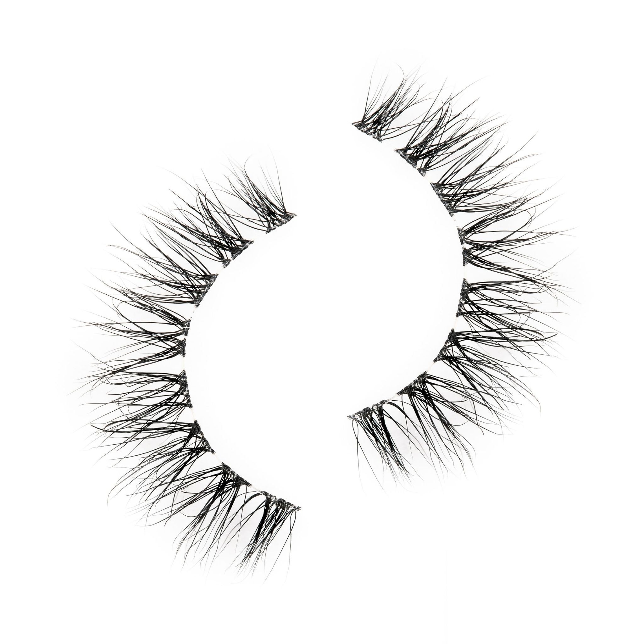 The Anna Lash