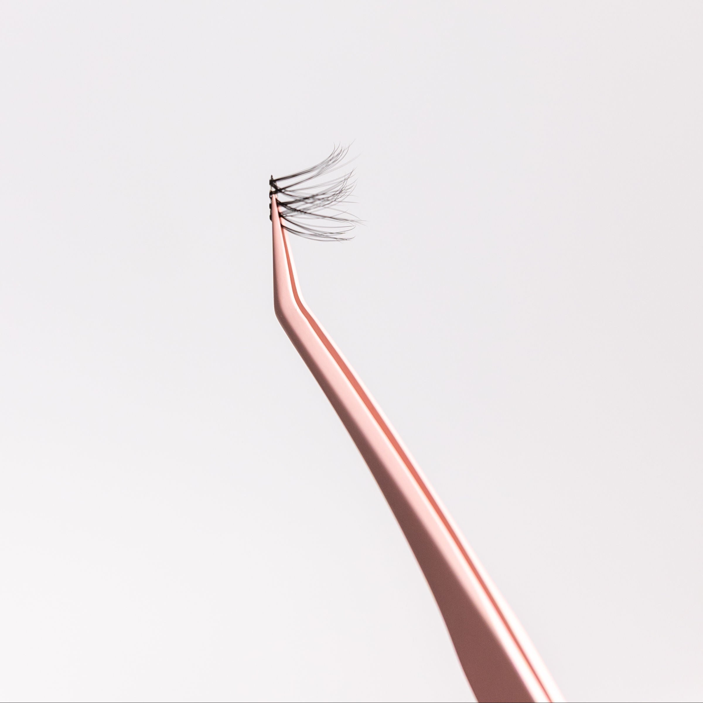 Natural Lash Fusion Set – Pre-glued Lash Extensions for Seamless DIY Glam | DBL