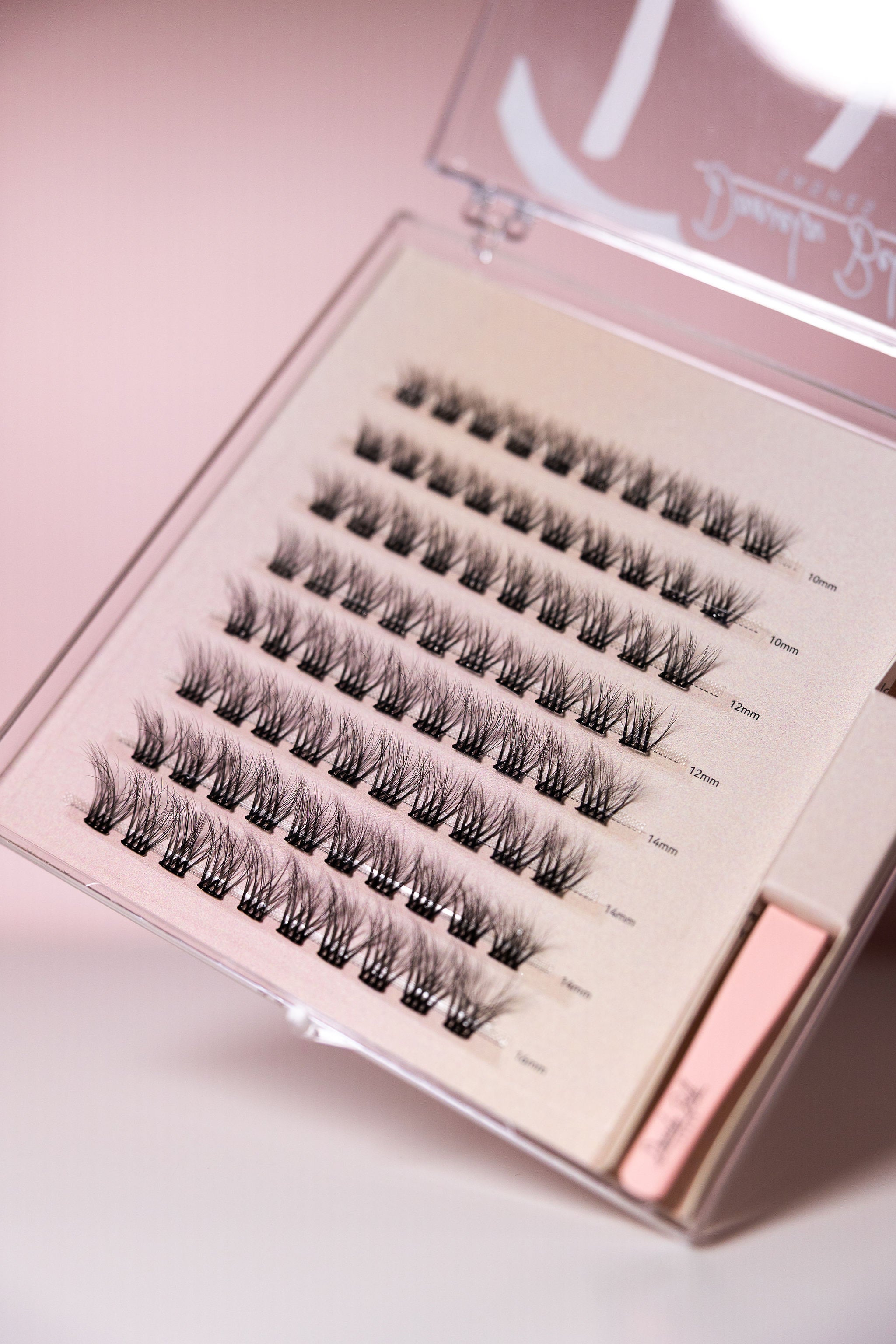 Lash Fusion Set – Pre-Glued Cluster Lashes by Daniela Bell Lashes